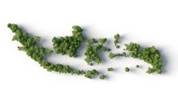 Jasa Pembutan PT: Manfaat Pendirian PT Untuk Bisnis Anda & Apa Saja Keunggulan Perseroan&nbsp;Terbatas?