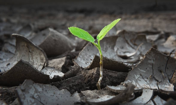 Tahapan Pertumbuhan Perusahaan & Langkah-Langkah Strategi Pengembangan&nbsp;Usaha