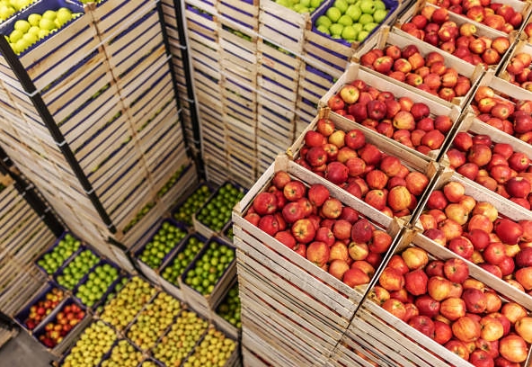 Kode KBLI 46312 Perdagangan Besar&nbsp;Buah-buahan