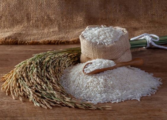 Kode KBLI 46201 Perdagangan Besar Padi Dan&nbsp;Palawija