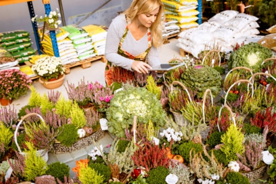 Kode KBLI 46203 Perdagangan Besar Bunga Dan Tanaman&nbsp;Hias