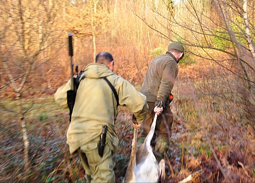 Kode KBLI 46207 Perdagangan Besar Hasil Kehutanan Dan&nbsp;Perburuan