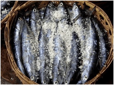 Kode KBLI 10214 Industri Pemindangan&nbsp;Ikan