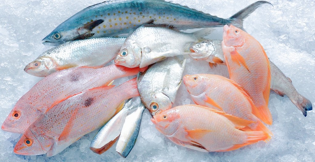 Kode KBLI 10219 Industri Pengolahan Dan Pengawetan Lainnya untuk&nbsp;Ikan