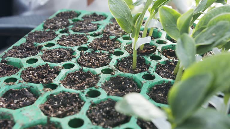 Izin Usaha & Kode KBLI Industri Pupuk Hara Makro&nbsp;Sekunder