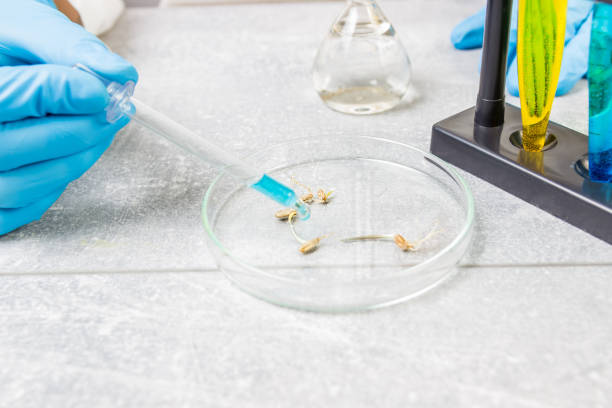 Izin Usaha & Kode KBLI Industri Bahan Baku Pemberantas Hama (Bahan&nbsp;Aktif)