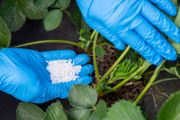 Izin Usaha & Kode KBLI Industri Pupuk Hara&nbsp;Mikro