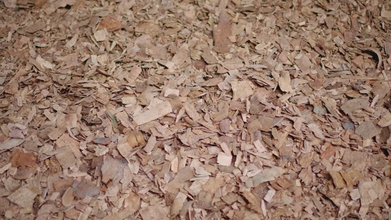 Izin Usaha & Kode KBLI Industri Partikel Kayu dan&nbsp;Sejenisnya