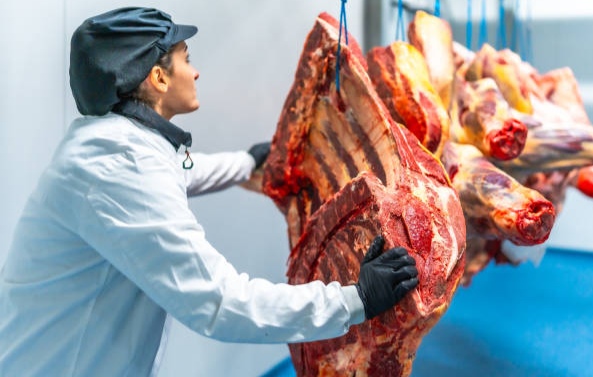 KBLI 10110: Kegiatan Rumah Potong dan Pengepakan Daging Bukan&nbsp;Unggas