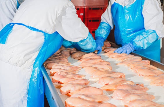 Izin Usaha Dan Kode KBLI 10120: Kegiatan Rumah Potongan Pengepakan Daging&nbsp;Unggas