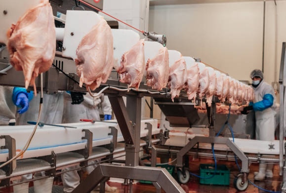 Izin Usaha Dan Kode KBLI 10130: Industri Pengolahan dan Pengawetan Produk Daging dan Daging&nbsp;Unggas